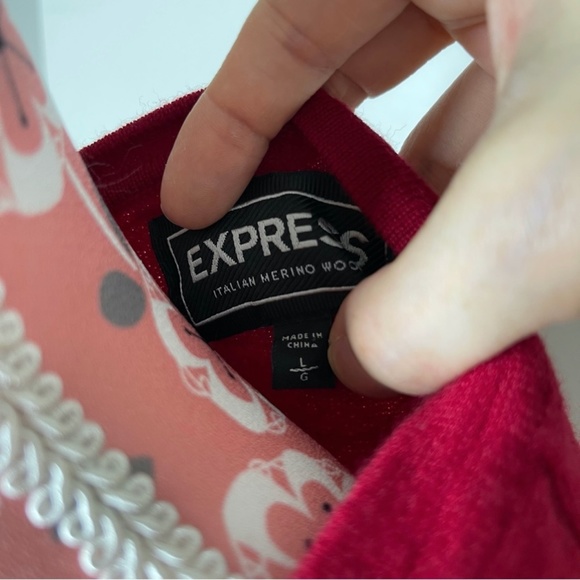 Express Mens Italian Merino Wool Pullover Knit Sweater Large - Picture 6 of 8